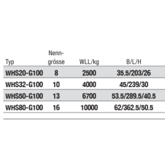 Sicherheitswirbelhaken Grad 100